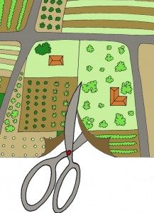 Frazionamento Terreno: costi e spese per frazionare un terreno